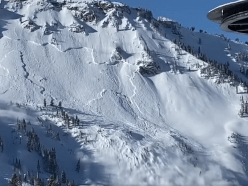 How Much is a Life&nbsp;Worth?